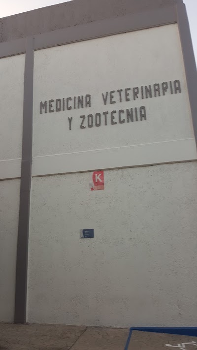 university