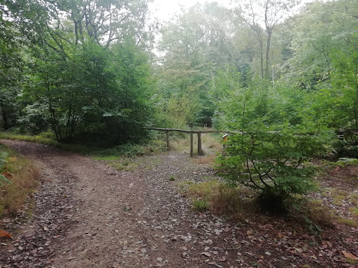 Pound Wood Nature Reserve Gallery - United Kingdom