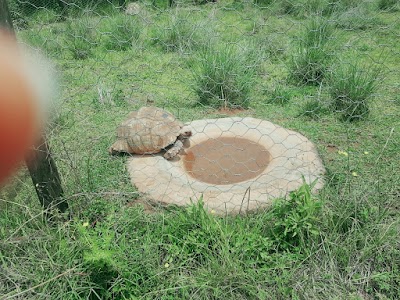 Photos of Ensessakotteh Wild Life Rescue,conservation And Education Center
