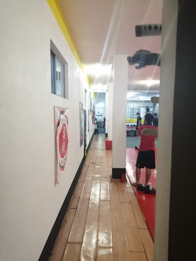 Torrestra Gym - Thumbnail