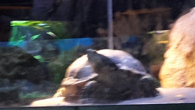 Photos of Aqua Zoo Leerdam