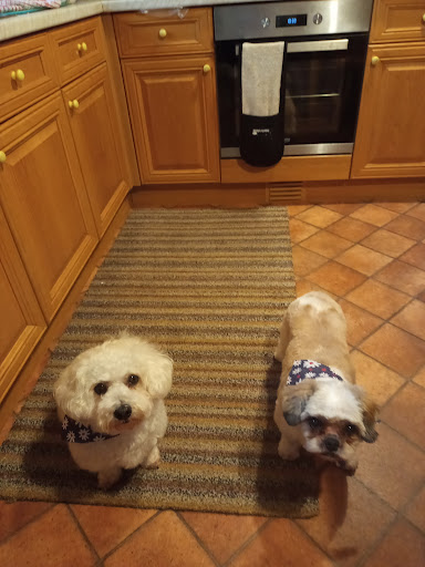 Sidney's pet presents and grooming - Thumbnail