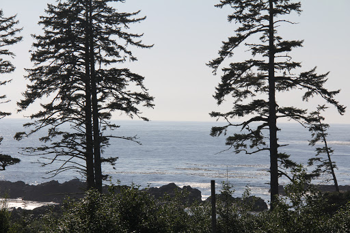 Natural Elements Vacation Rentals - Thumbnail