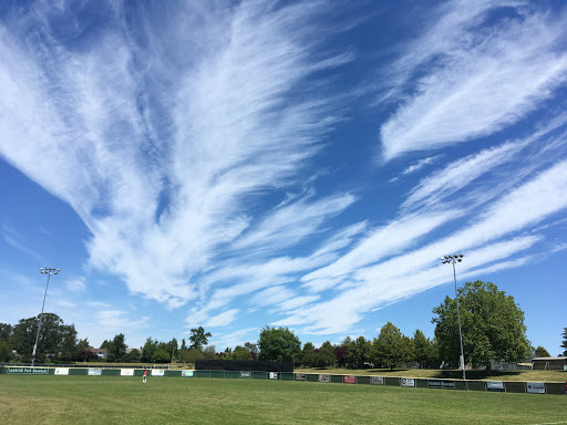Gordon Head Baseball Association - United States