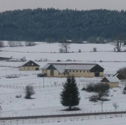 Photo n°2 de Les Haras du Petit Bois à Le Russey (Éleveur de chevaux)