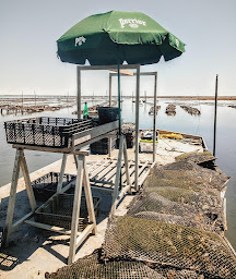 Photo n°40 de LES COQUILLES DU BASSIN à Andernos-les-Bains (Service de livraison)