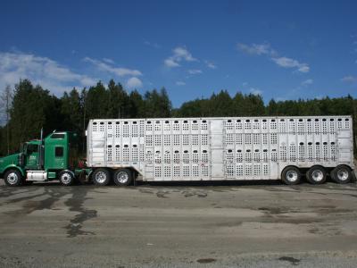 Bullseye Dispatch Inc Gallery - United States