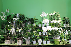 Photo n°4 de Le Jardin des Fleurs à Lambersart (Fleuriste)