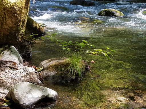 Ripplebrook Campground - Visual