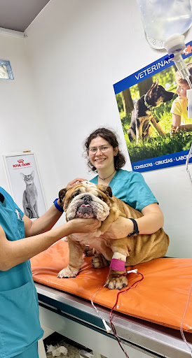 Veterinaria 24/7 Clínica San Francisco