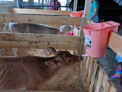 Remick Country Doctor Museum & Farm