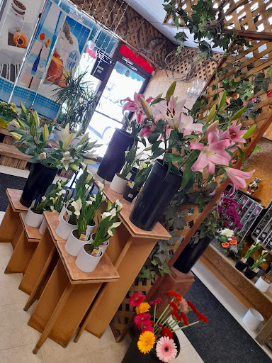 Fleuriste Casaflore - Visual