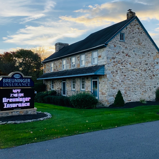 Breuninger Insurance - Thumbnail