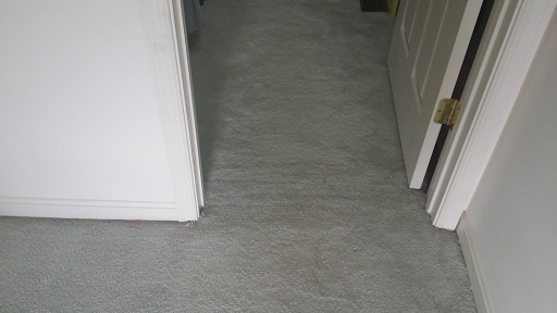 Paragon Carpet Care - Thumbnail