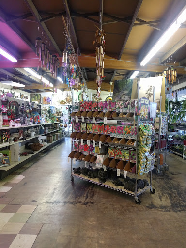 Apache Seeds Limited - Visual