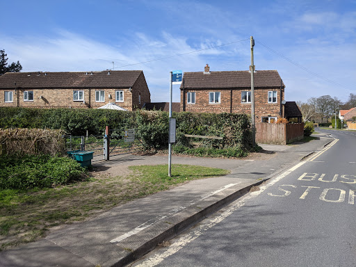 Playing Fields - Visual