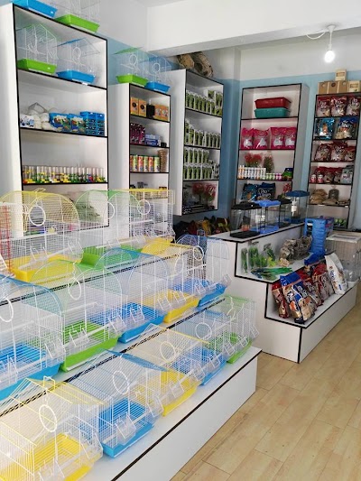 Cesur Petshop 7/24 HİZMET Osmancık/ÇORUM