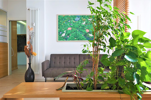 Studio Dentistico Zucchini Logo