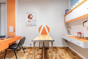 Photo n°22 de Cabinet Vétérinaire Argos Lyon Valmy à Lyon (Vétérinaire)