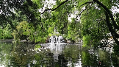 Photos of La Gavia