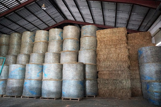 Venta de hierba en rollos y paquetón. Venta de arandanos Gallery - Spain