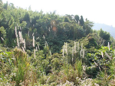 Photos of Boga Lake