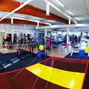 Imagen de la galería