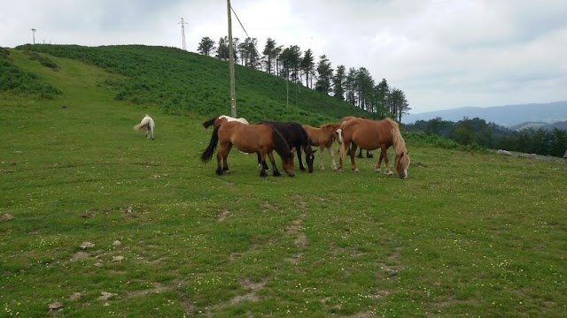 Arditurri parketxea Aiako harria Parke Naturala