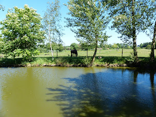 Photo n°40 de Paardenhof Guesthouse à Esquelbecq (Chambre d'hôtes)