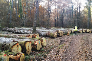 Photo n°8 de ALLIANCE Forêts Bois à Azay-le-Rideau (Exploitation forestière)