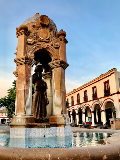 Colon Garden - Thumbnail
