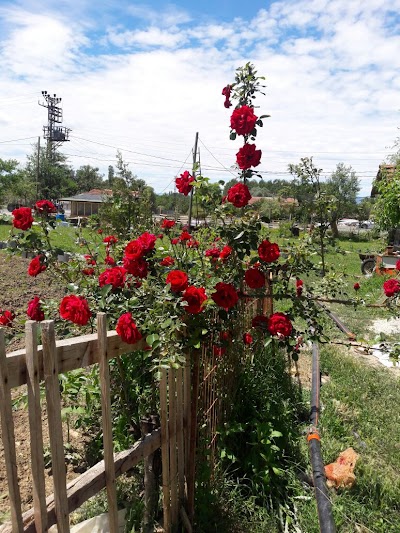 Melekoglu Et Balık Restorant