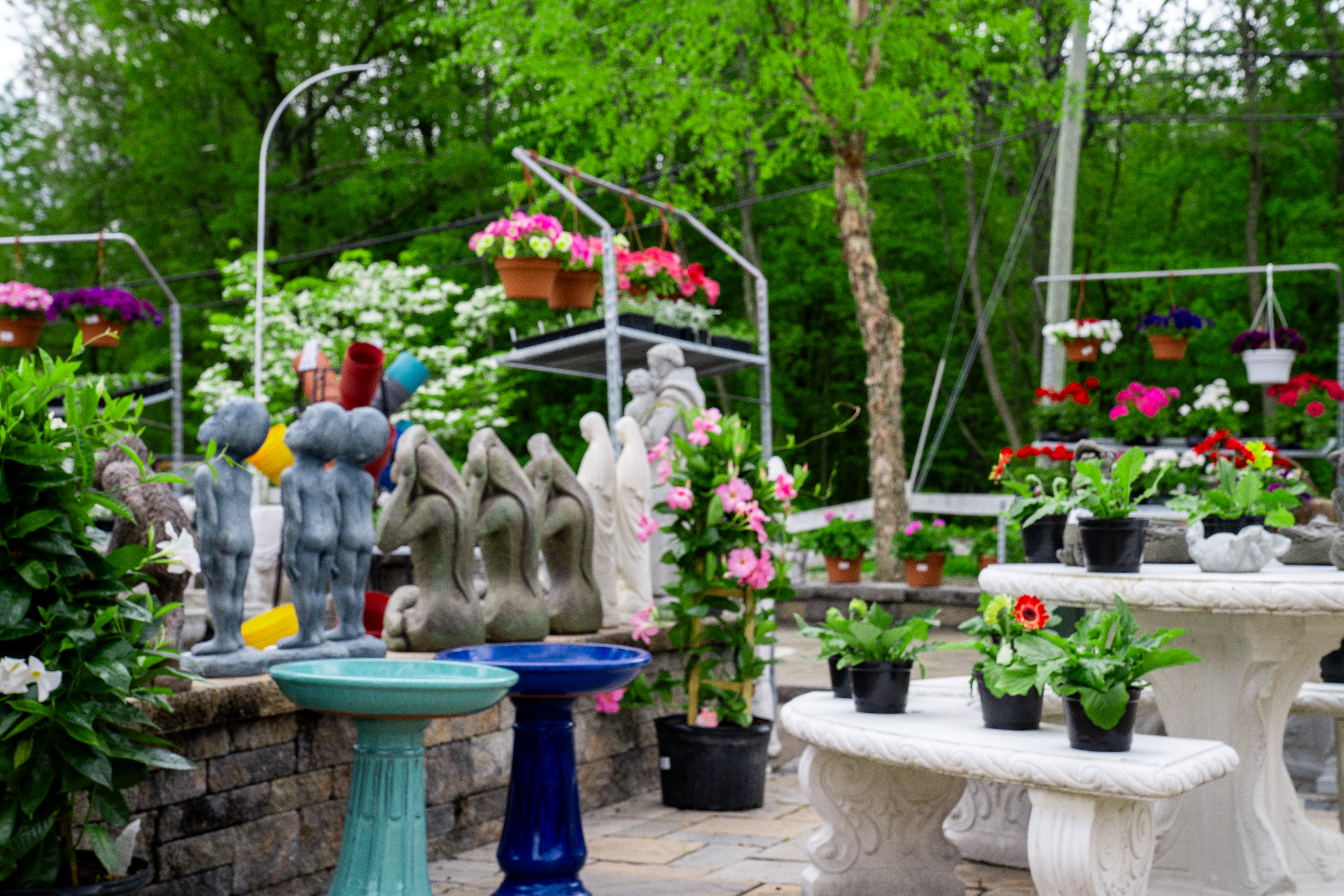 Tarnow Nursery