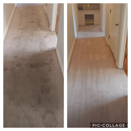 Absolute Carpet & Tile Cleaning & Restoration - Thumbnail