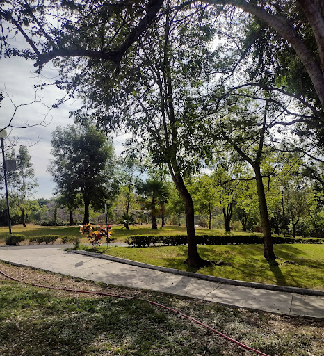 Hundido Patria Park