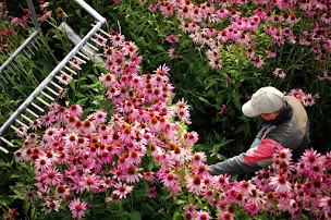 Photo n°1 de A.Vogel France à Colmar (Épicerie)