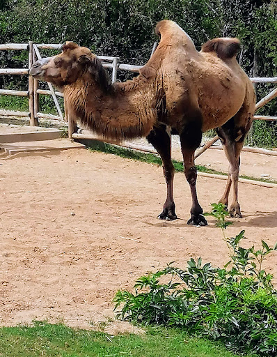 Zájezd Zoo - Thumbnail