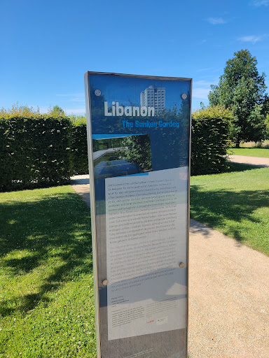 Libanon Garten - Thumbnail