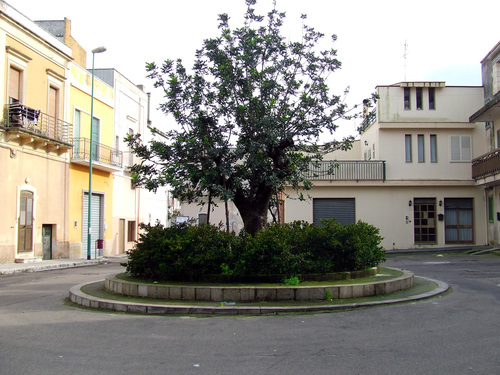 " LA CORNULA" - Visual