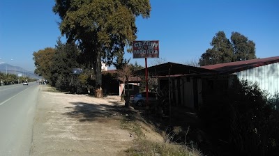 Photos of Gezgin Mobilya
