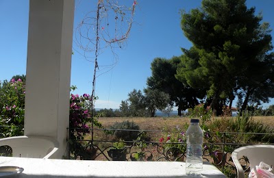 Photos of Halkidiki apartments for sale