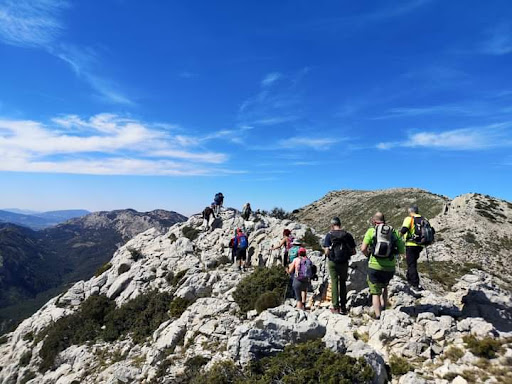 Mallá del llop - Thumbnail
