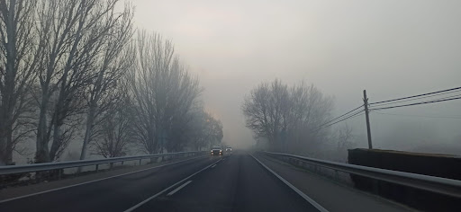 Alpicat - Visual