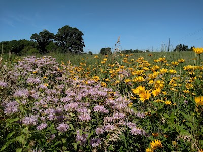 Morgan Creek Park