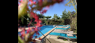 Photo n°45 de Domaine Des Terrières - Villas de prestige, Vignoble, Huilerie à Plaissan (Établissement vinicole)