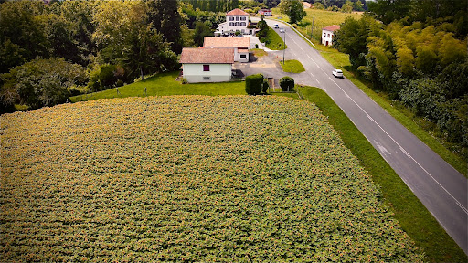 Photo de Sainte-Marie-de-Gosse à Sainte-Marie-de-Gosse (40390)
