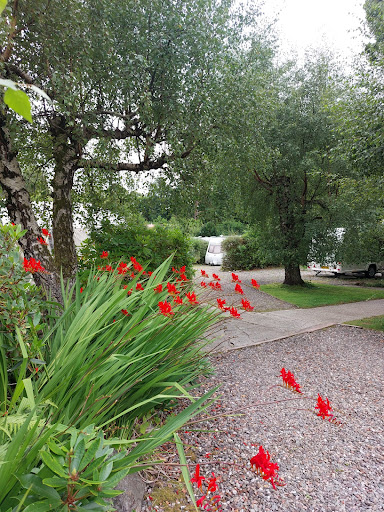 Twenty Shilling Wood Holiday Park - Thumbnail