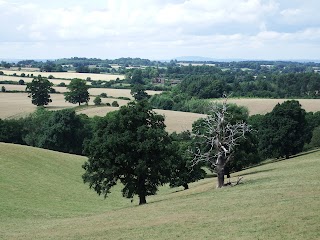 Enville & Stalybridge Estates