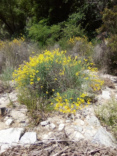 Grizzly Flat Trailhead - Thumbnail