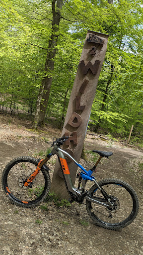 Start Wildhog Trail (Flowtrail Stromberg)